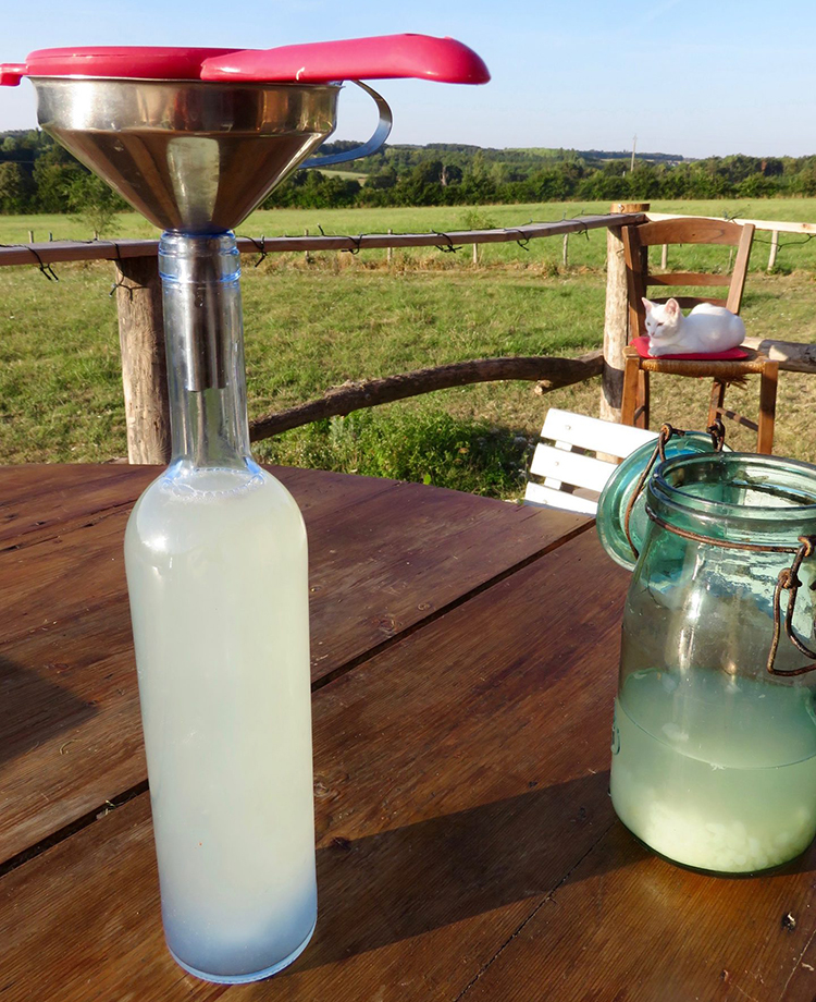 Granos De Batir En Un Colador Con Una Botella Y Una Taza De Kefir Sobre Una  Mesa Blanca. Imagen de archivo - Imagen de magnesio, bebida: 240437283